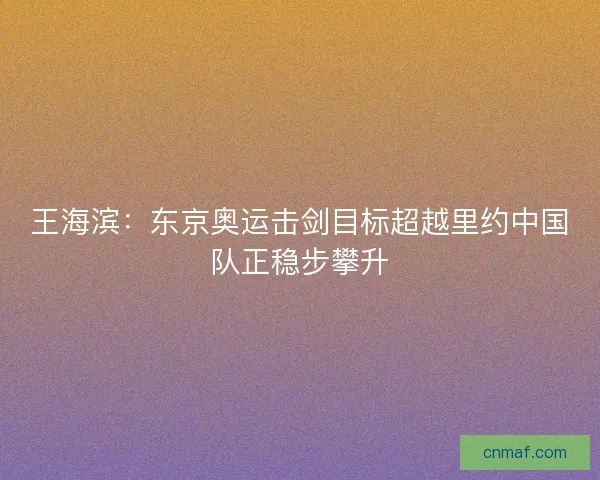 王海滨：东京奥运击剑目标超越里约中国队正稳步攀升